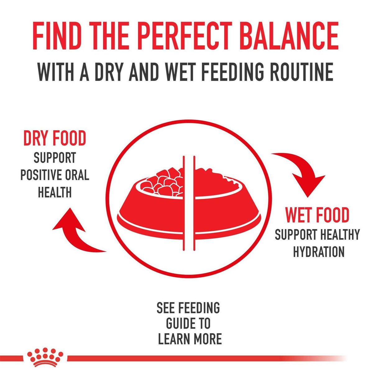 Adult Dry Dog Food H996037