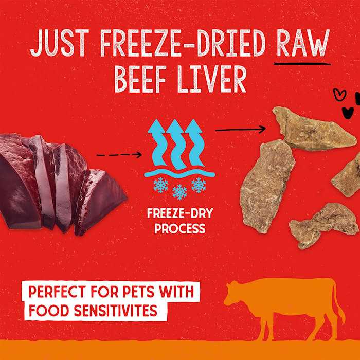 Freeze Dried Beef Dog Treats T939839