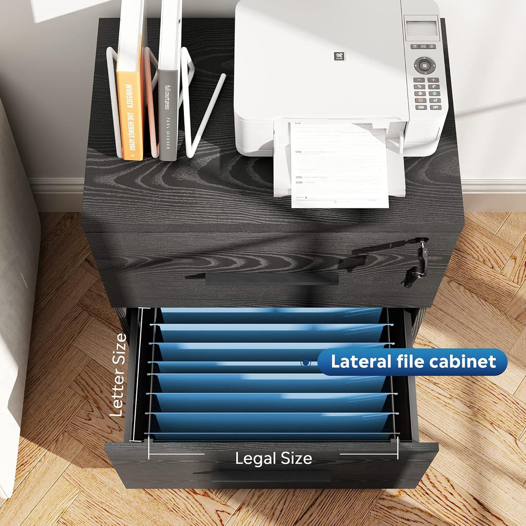 Black 2-Drawer Wood Lateral File Cabinet with Lock C518