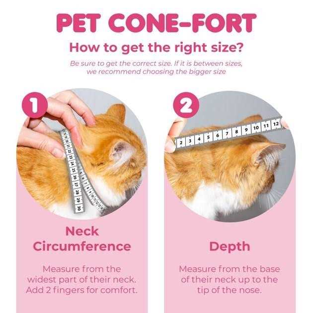 Soft Collar for Small Dogs & Cats Q8547