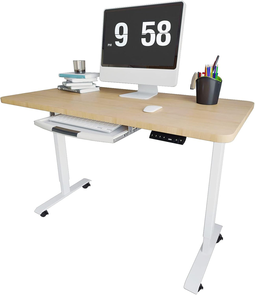 48x24 Inches Height Adjustable Electric Standing Desk W895