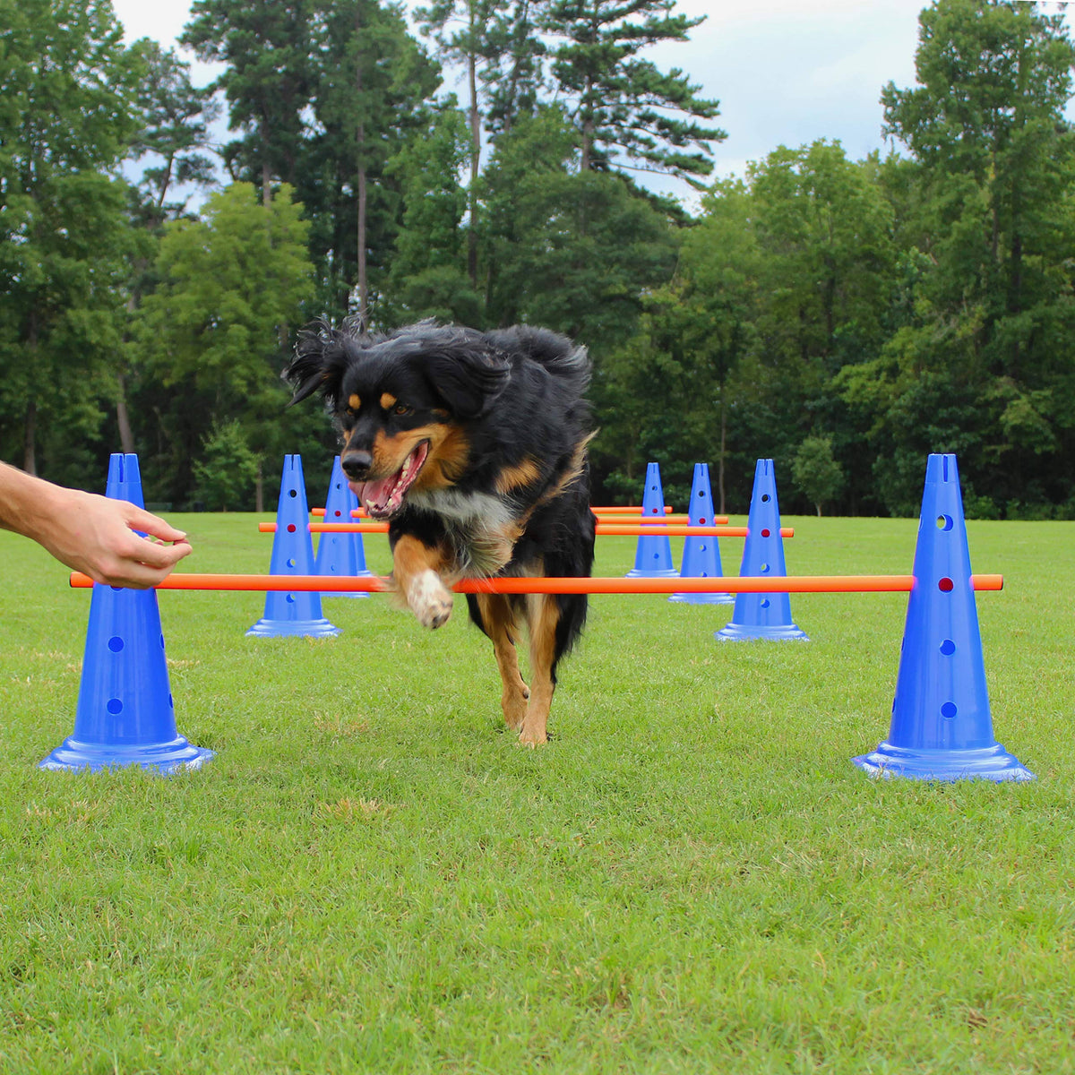 Dog Agility Hurdle Cone Set B97658