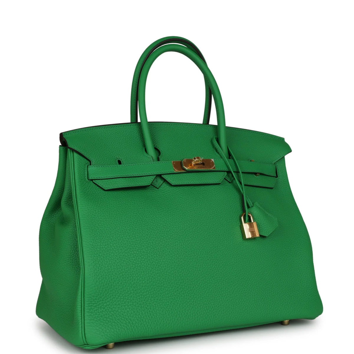 Bambou Togo Leather Handbag N87795