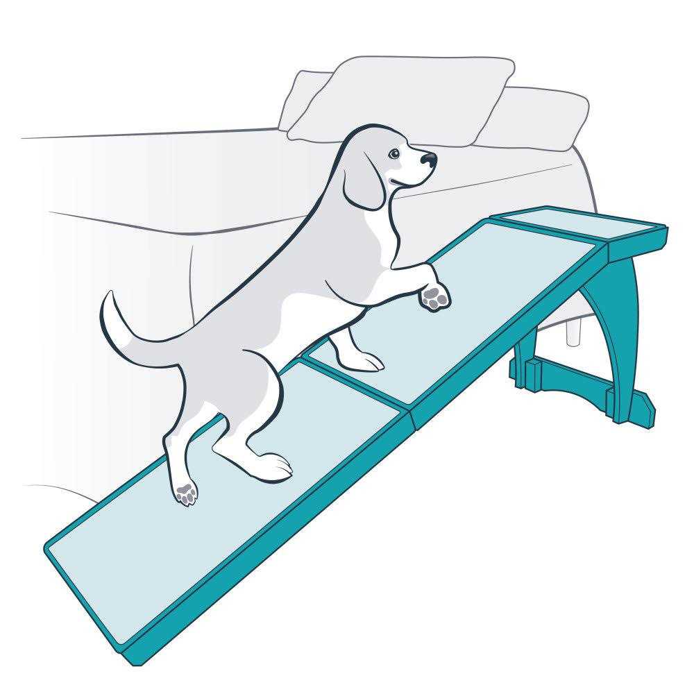 Pet Ramp G605