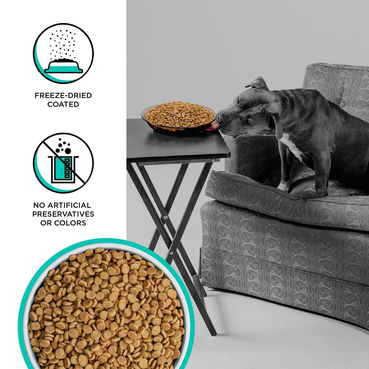 Duck Recipe Dry Dog Food H140838