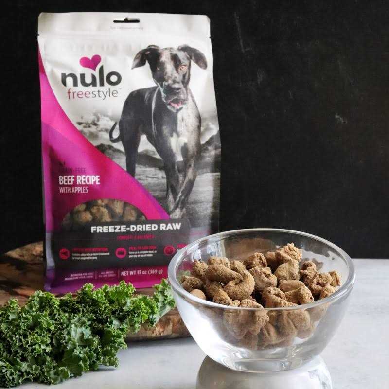 Freeze-Dried Raw Beef Dog Food O255872