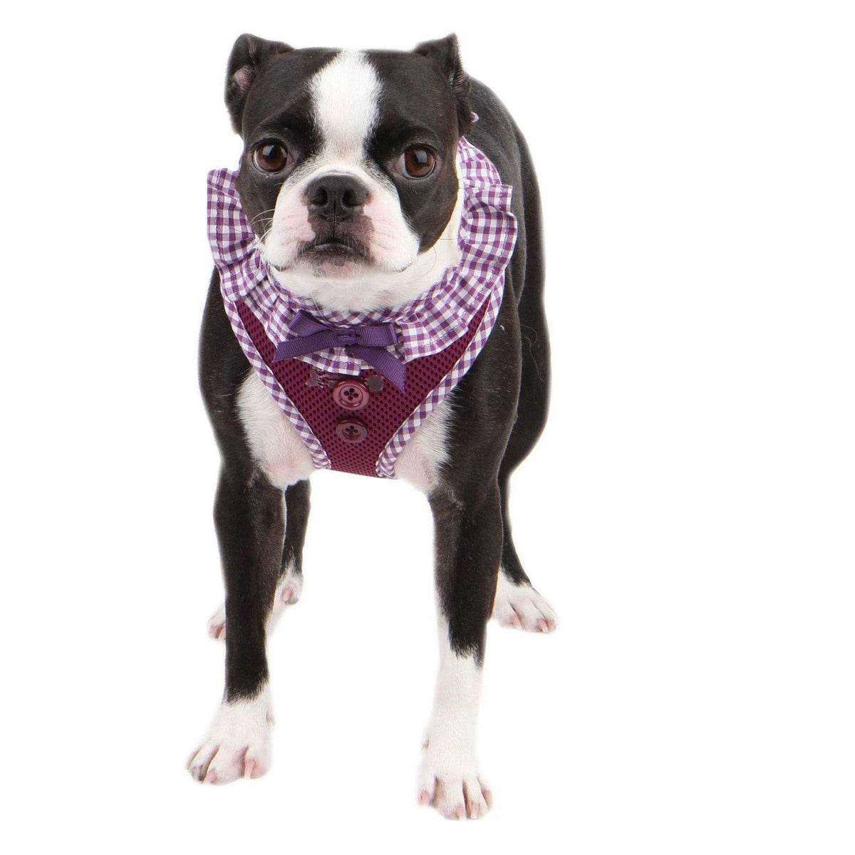 Pet Harness X352
