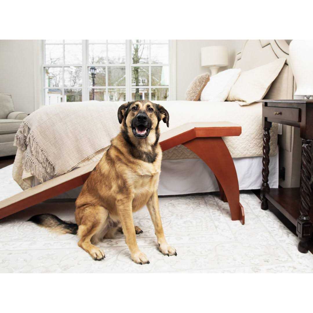 Pet Ramp G605
