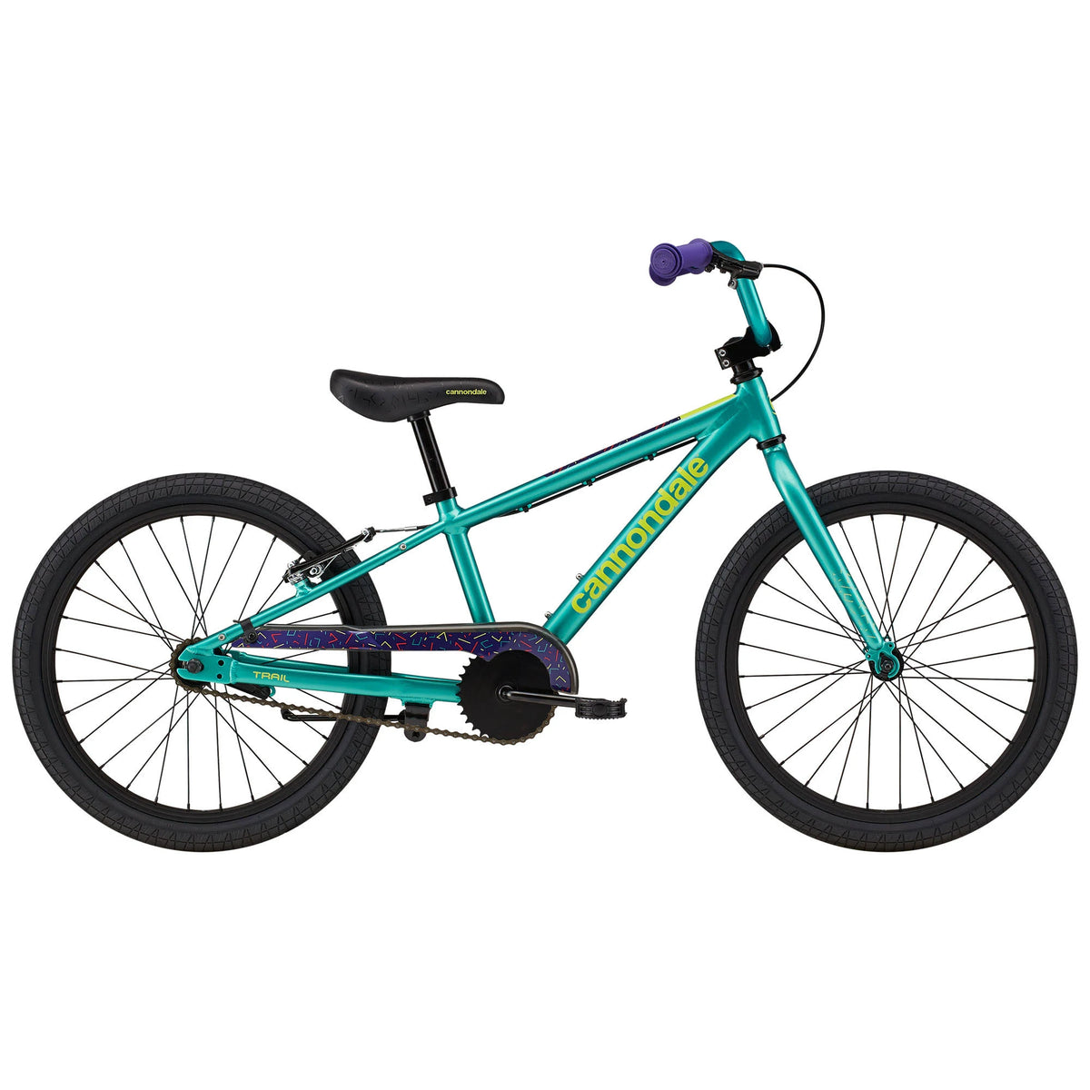 Turquoise 20 inch Kids Trail Bike J1196