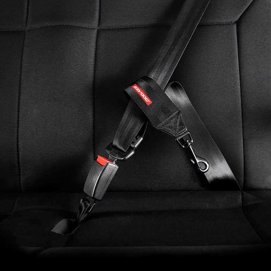 Seat Belt Restraint D176422