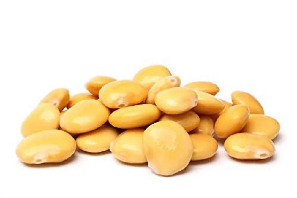 Ready To Eat Lupini Beans 32 OZ Jar Pack of 6 P7177