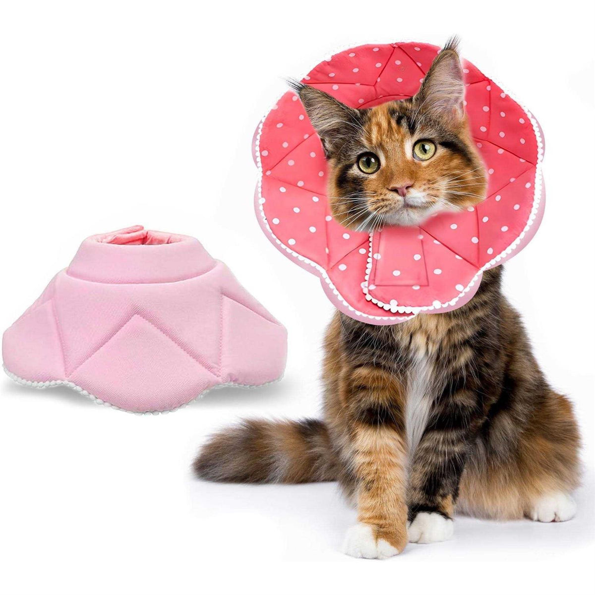 Soft Collar for Small Dogs & Cats Q8547