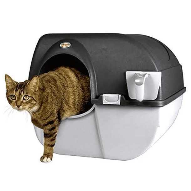Self-Cleaning Litter Box B51856