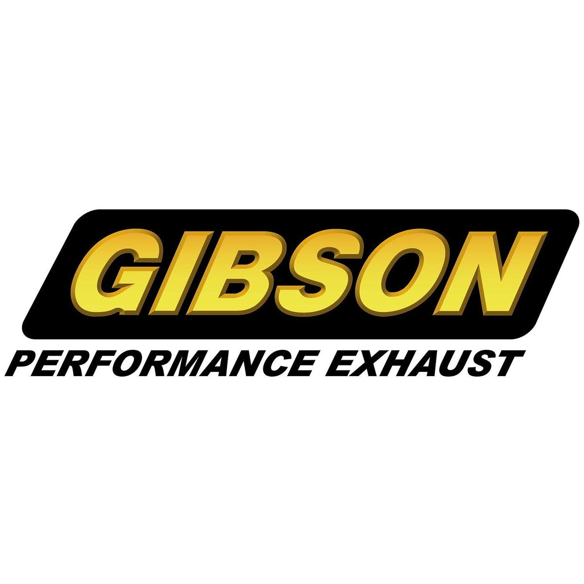Stainless Cat-Back Single Exhaust System G9006