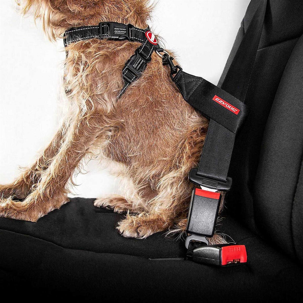 Seat Belt Restraint D176422