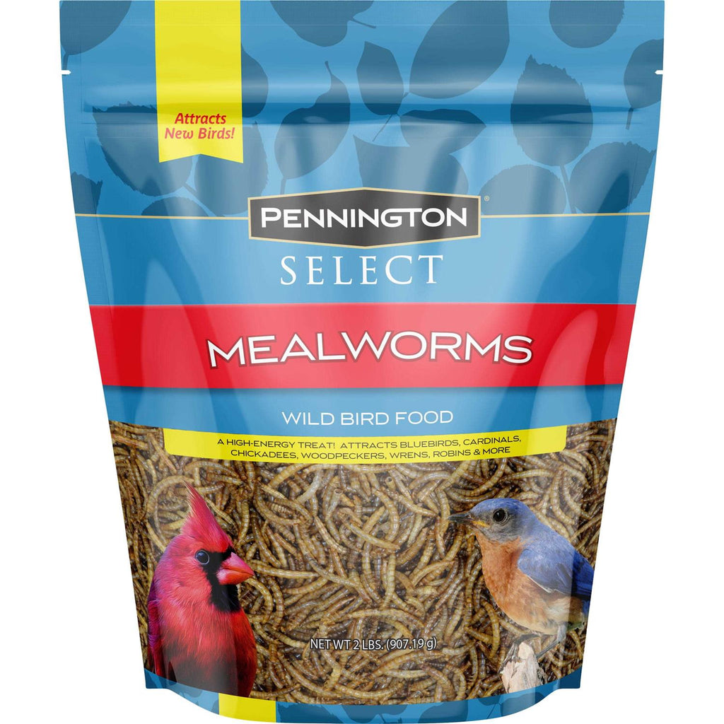 Mealworms Wild Bird Food L310