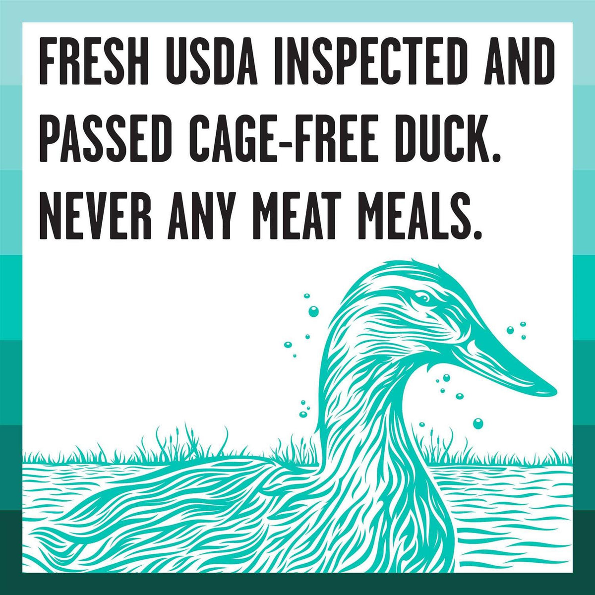 Duck Recipe Dry Dog Food H140838