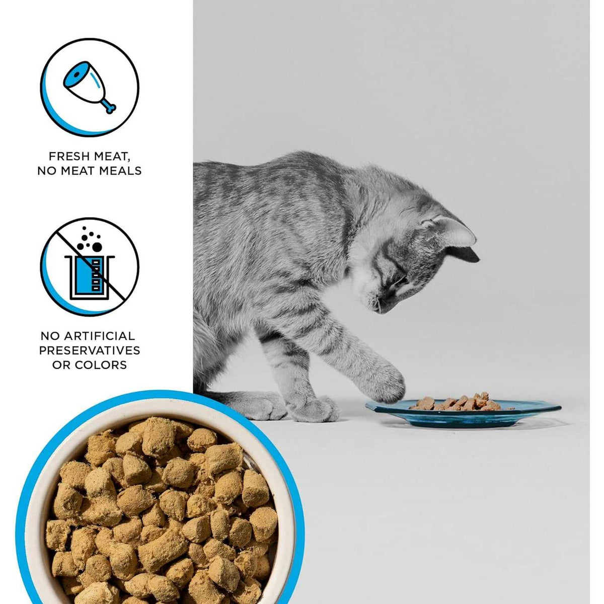 Freeze Dried Cat Food X808