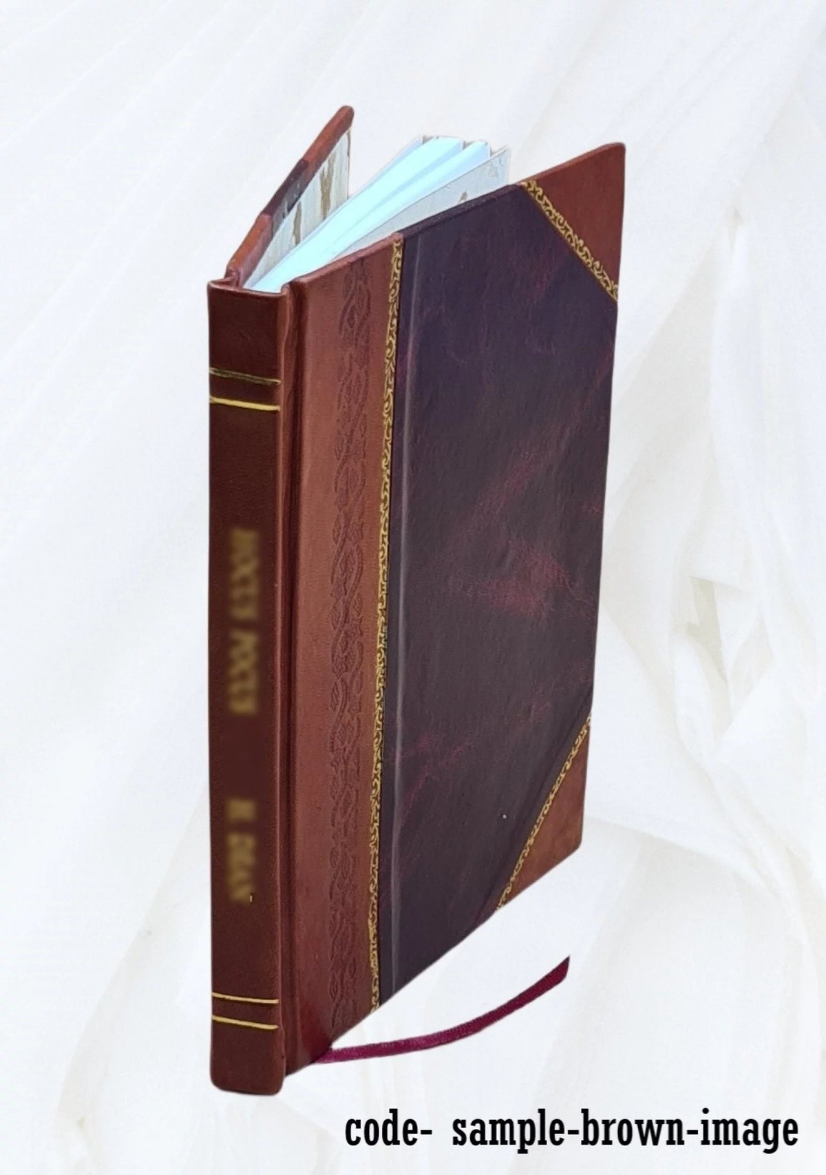 Yellowstone National Park Leather Bound U903322