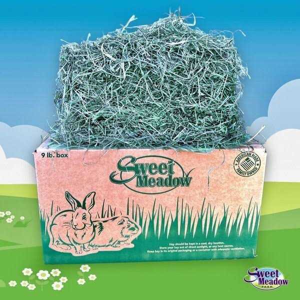Timothy Hay Small Pet Food I503
