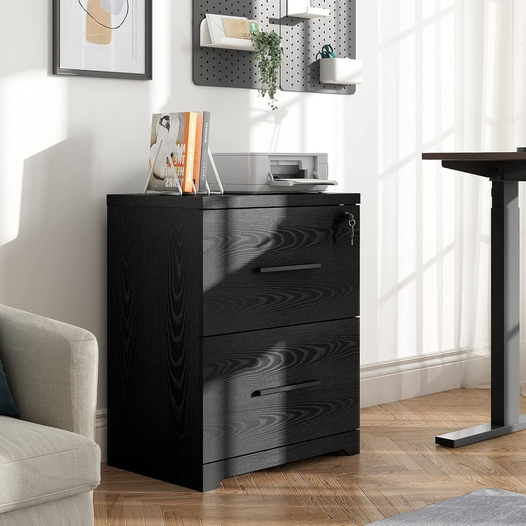 Black 2-Drawer Wood Lateral File Cabinet with Lock C518