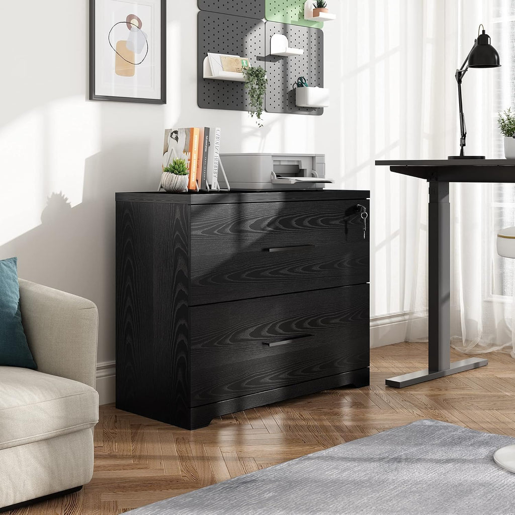 Black 2-Drawer Wood Lateral File Cabinet with Lock C518