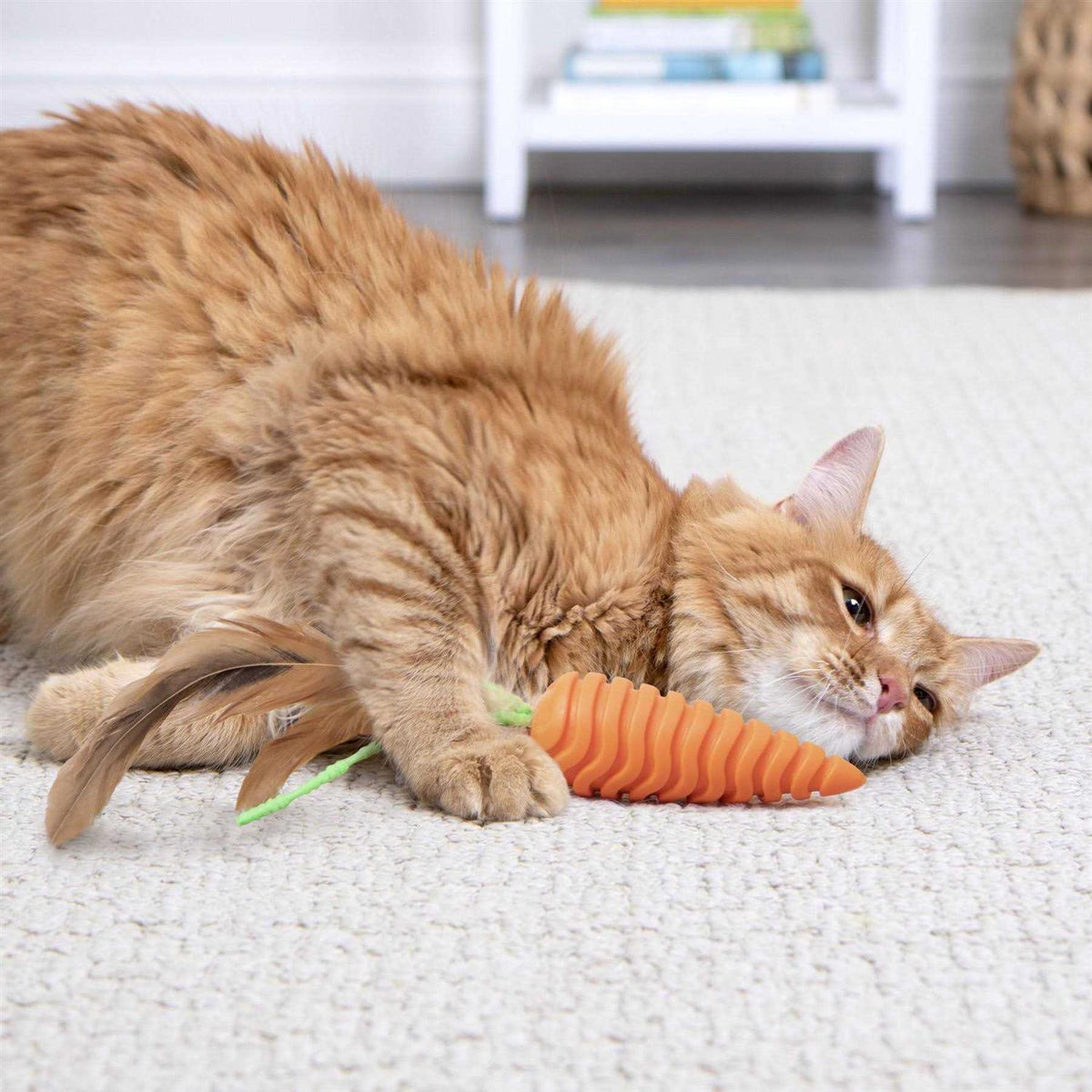 Cat Grooming Toy B9768