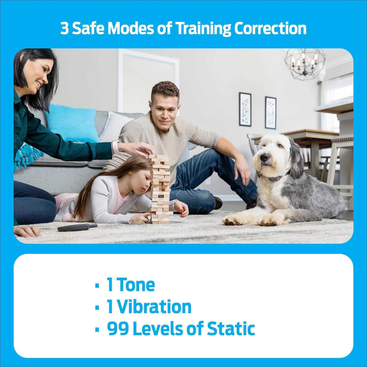Remote Trainer V618