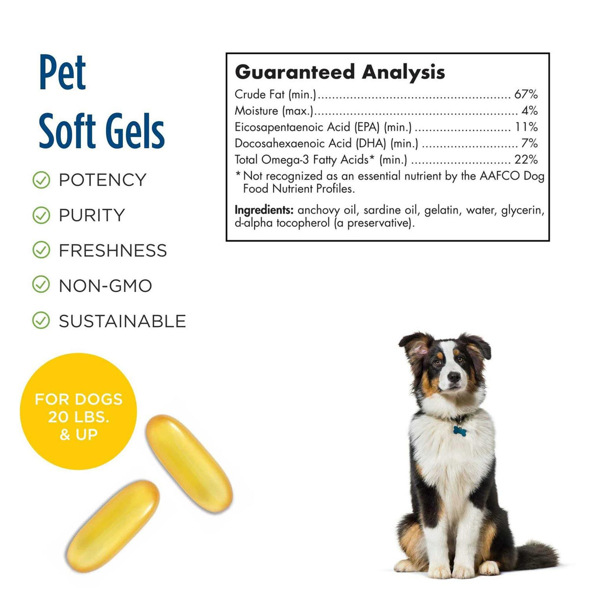 Omega 3 Pet T574648