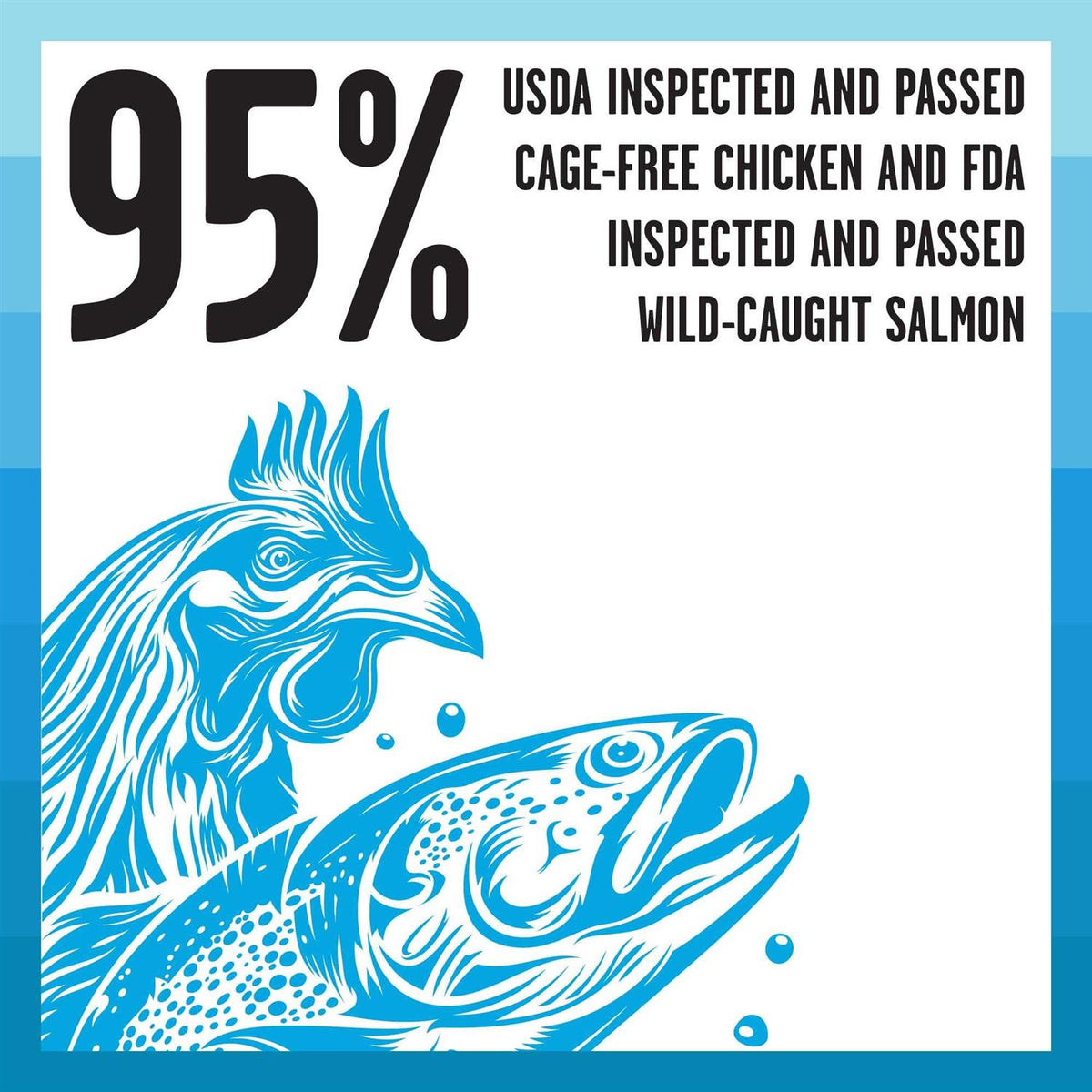 Freeze Dried Cat Food X808