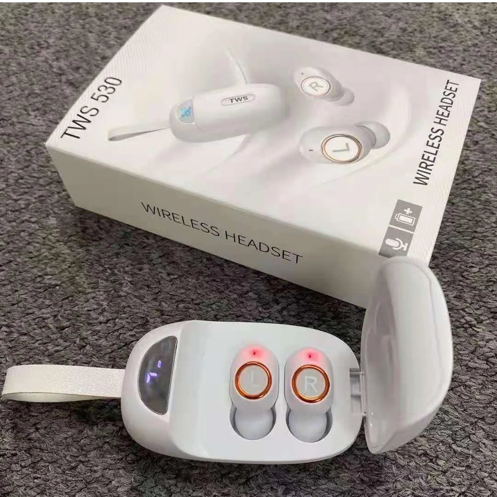 Wireless Bluetooth in-Ear Headphones with Charging Case V880