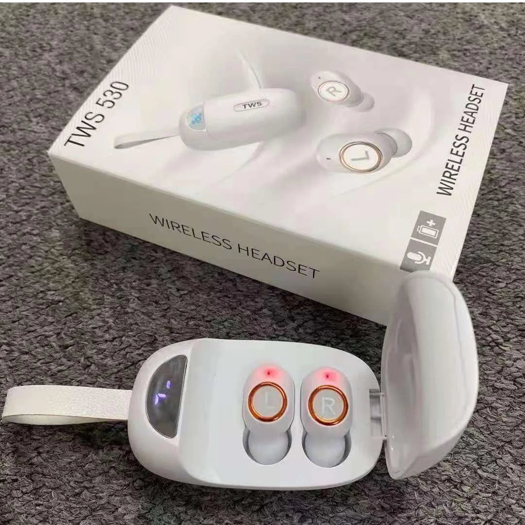 Wireless Bluetooth in-Ear Headphones with Charging Case V880