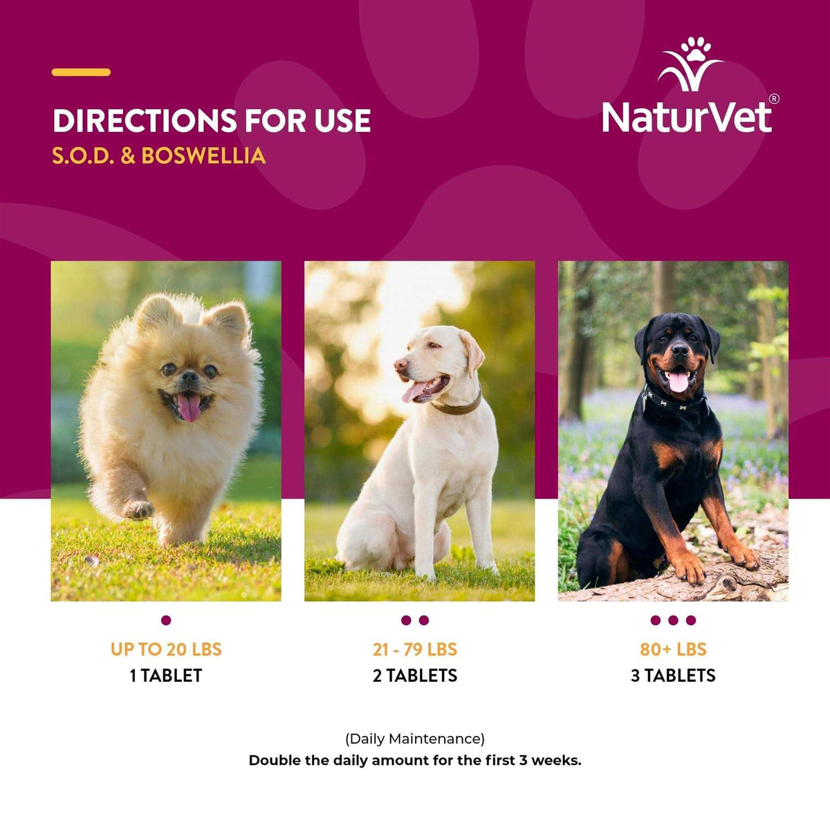 Tablets for Dogs H100814