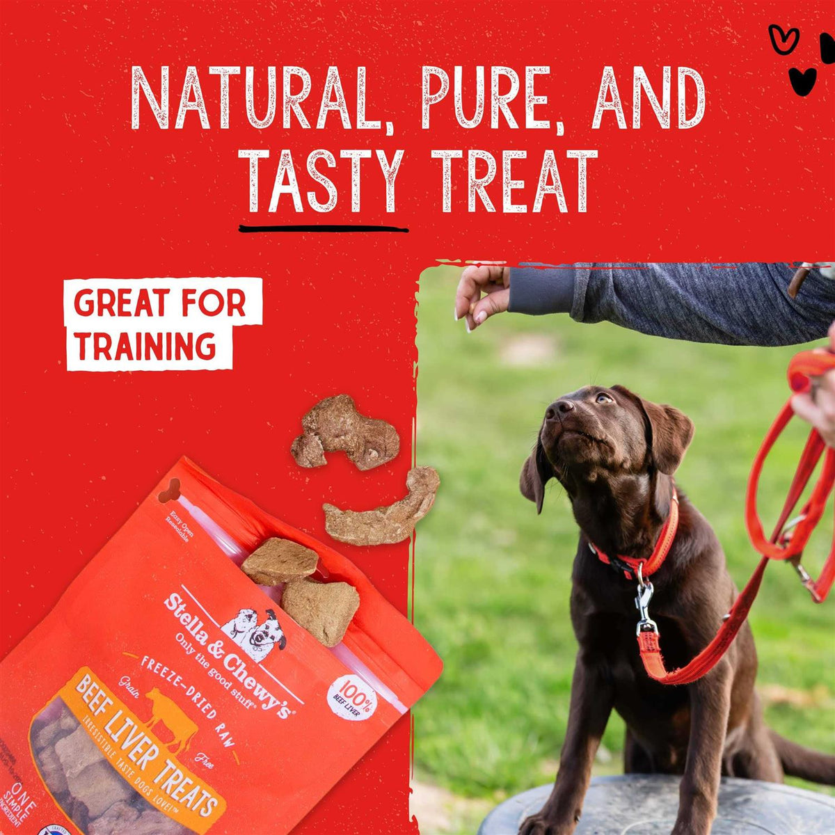 Freeze Dried Beef Dog Treats T939839